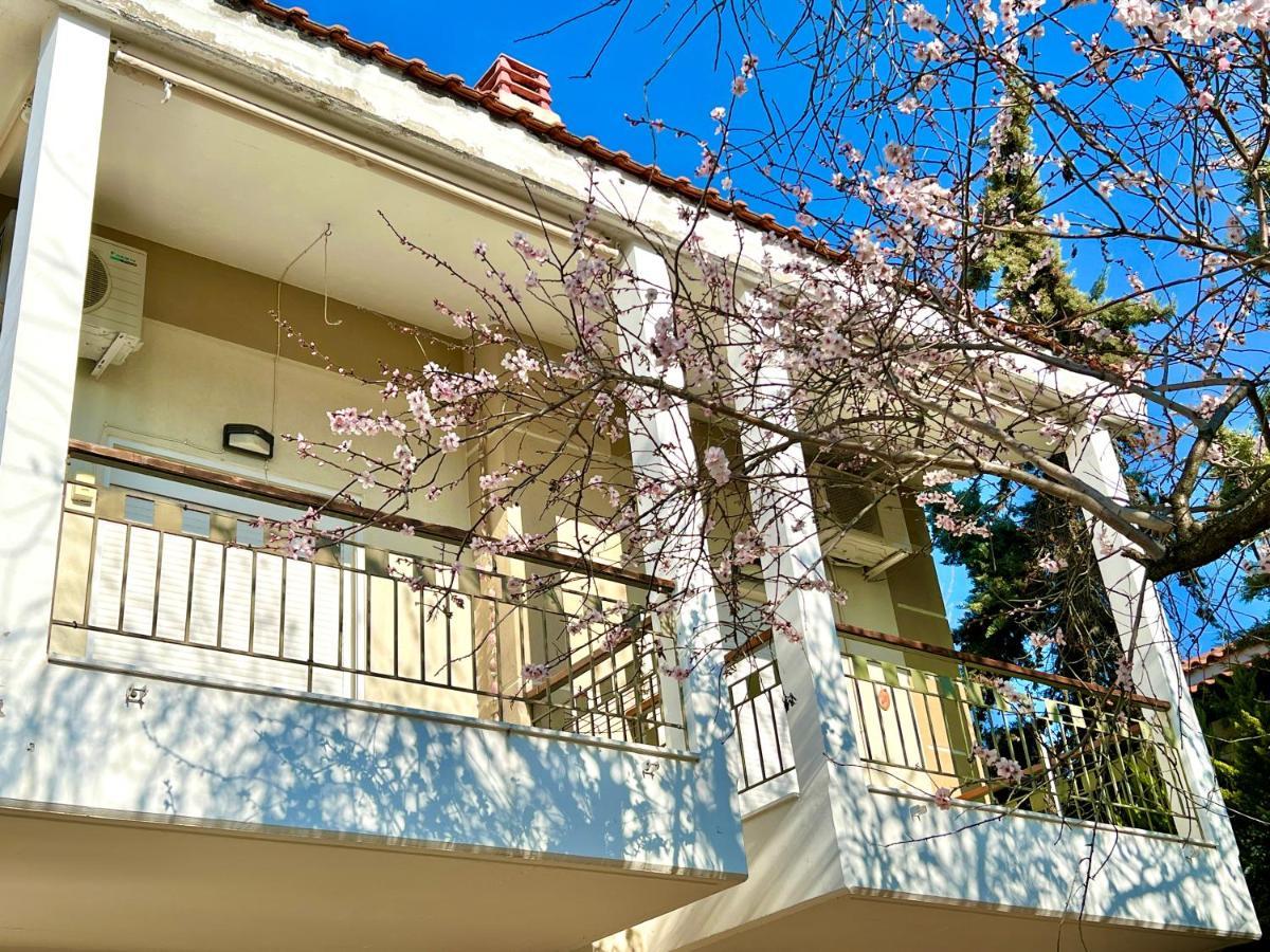 Nikiti Beach Houses Екстериор снимка